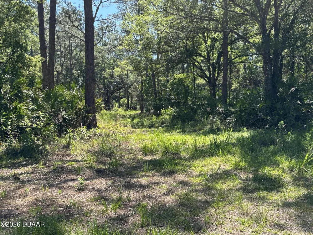 County Rd 90 E Bunnell, FL 32110