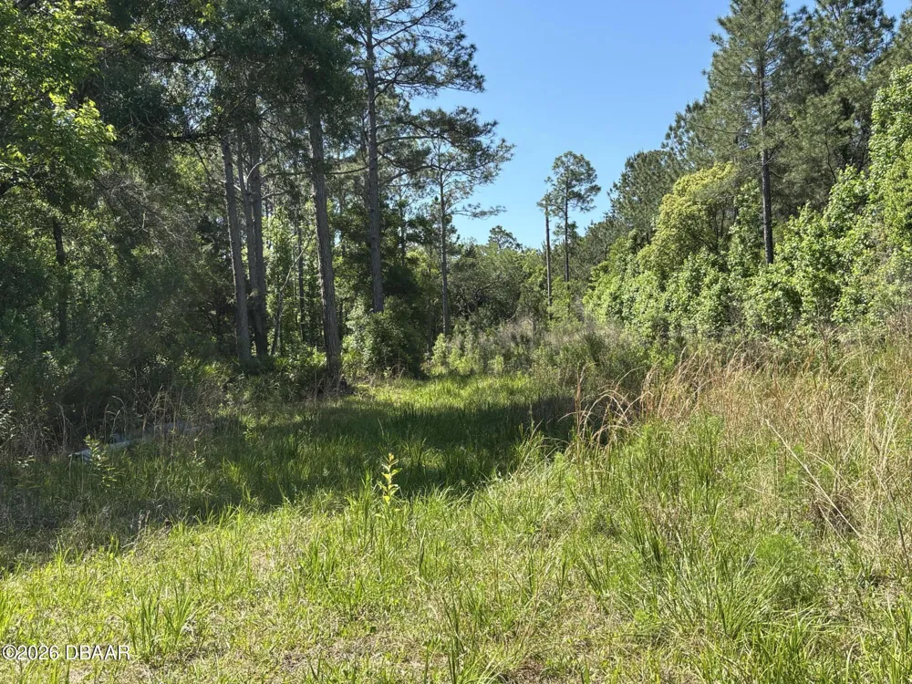 County Rd 90 E Bunnell, FL 32110