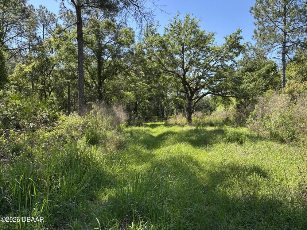 County Rd 90 E Bunnell, FL 32110