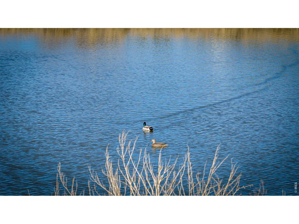 5111 E County Road 62 Wellington, CO 80549