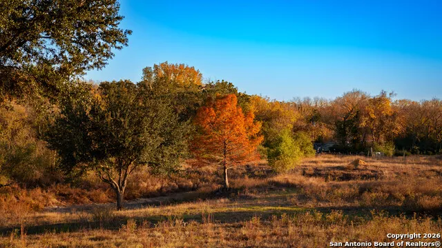 163 County Road 283 Harwood, TX 78632