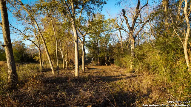 163 County Road 283 Harwood, TX 78632