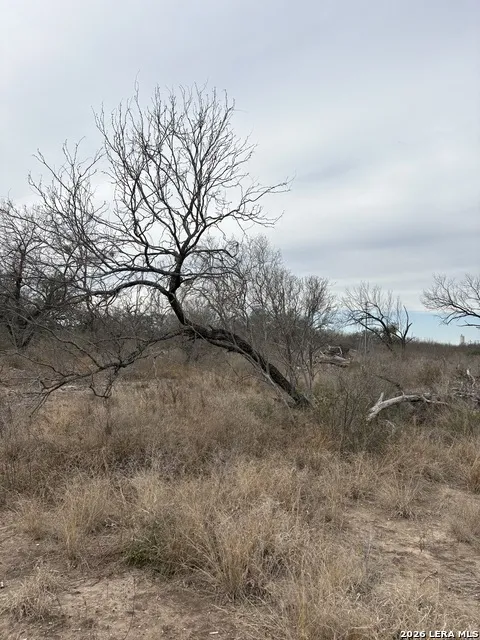 1490 us highway 90 Uvalde, TX 78801