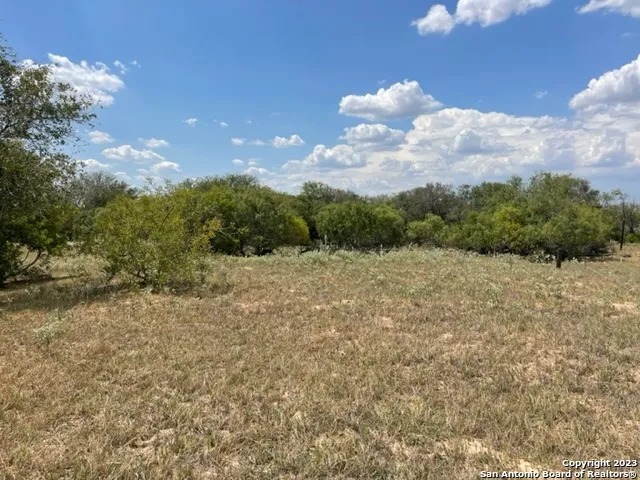 713 County Road 232 Floresville, TX 78114