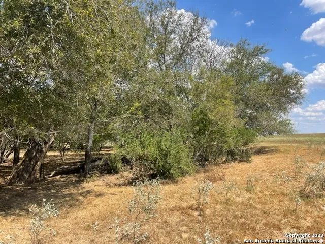 713 County Road 232 Floresville, TX 78114