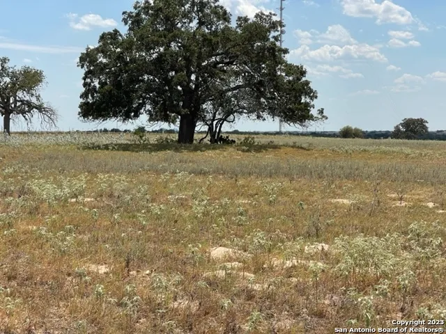 713 County Road 232 Floresville, TX 78114