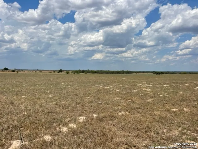713 County Road 232 Floresville, TX 78114