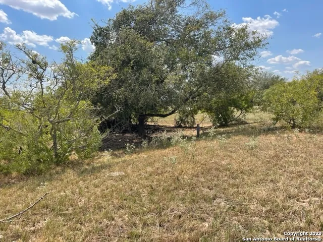 713 County Road 232 Floresville, TX 78114