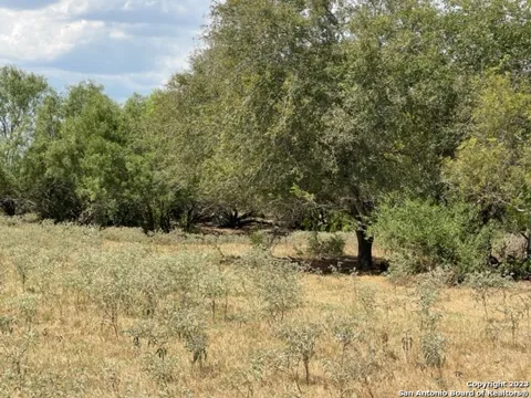 1039 County Road 232