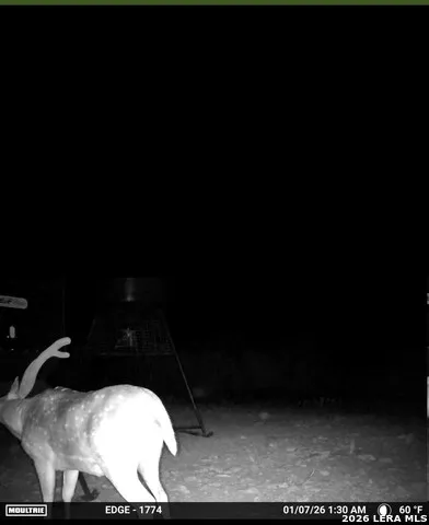 896 Sd 45730 Rocksprings, TX 78880
