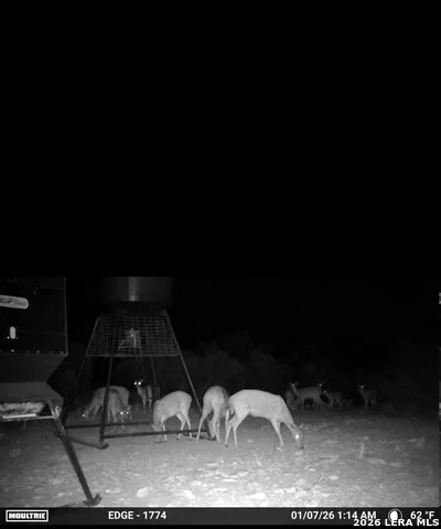 896 Sd 45730 Rocksprings, TX 78880