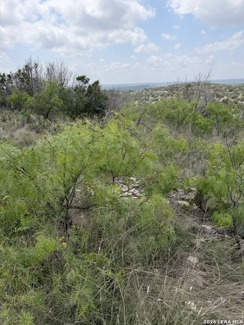 896 Sd 45730 Rocksprings, TX 78880