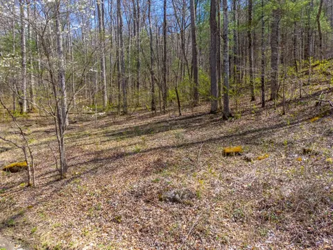Cedar Creek Farm Rd