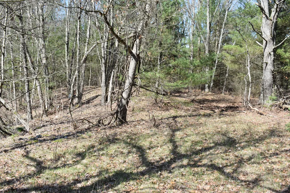 S Walhalla Road Fountain, MI 49410