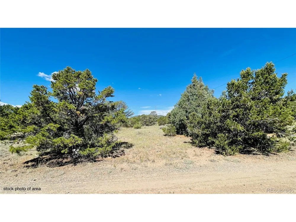976 Kenosha Road South Fork, CO 81154