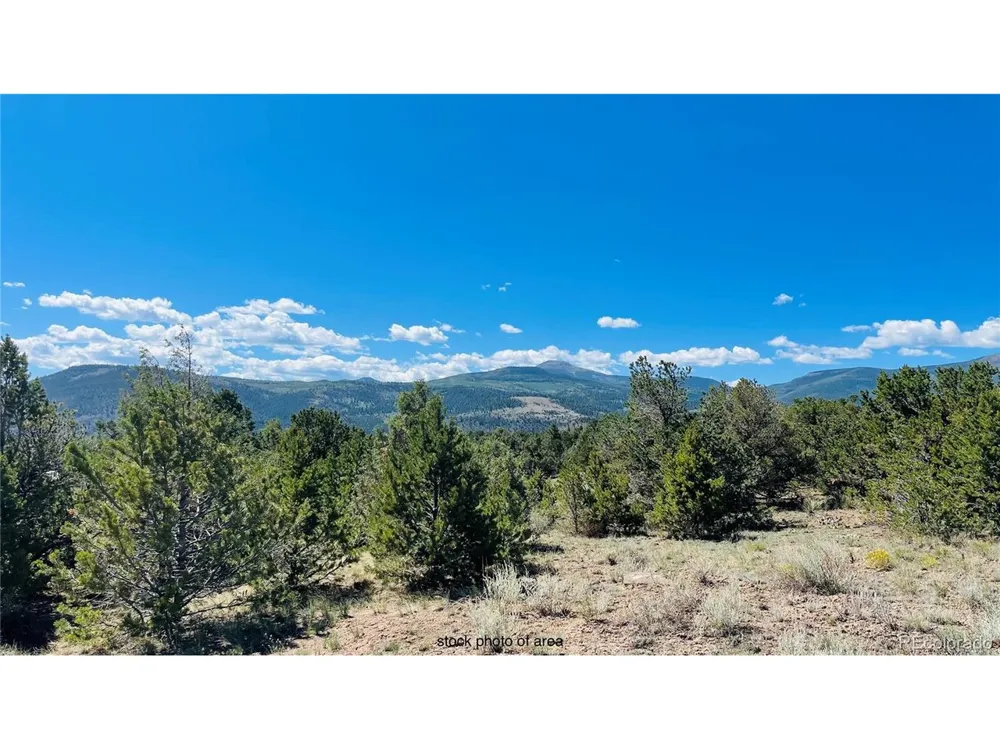 976 Kenosha Road South Fork, CO 81154