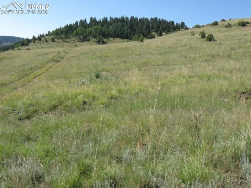 Lot 1-2 Shideler Avenue Cripple Creek, CO 80813