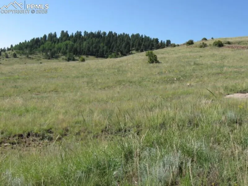 Lots 3-4 Shideler Avenue Cripple Creek, CO 80813