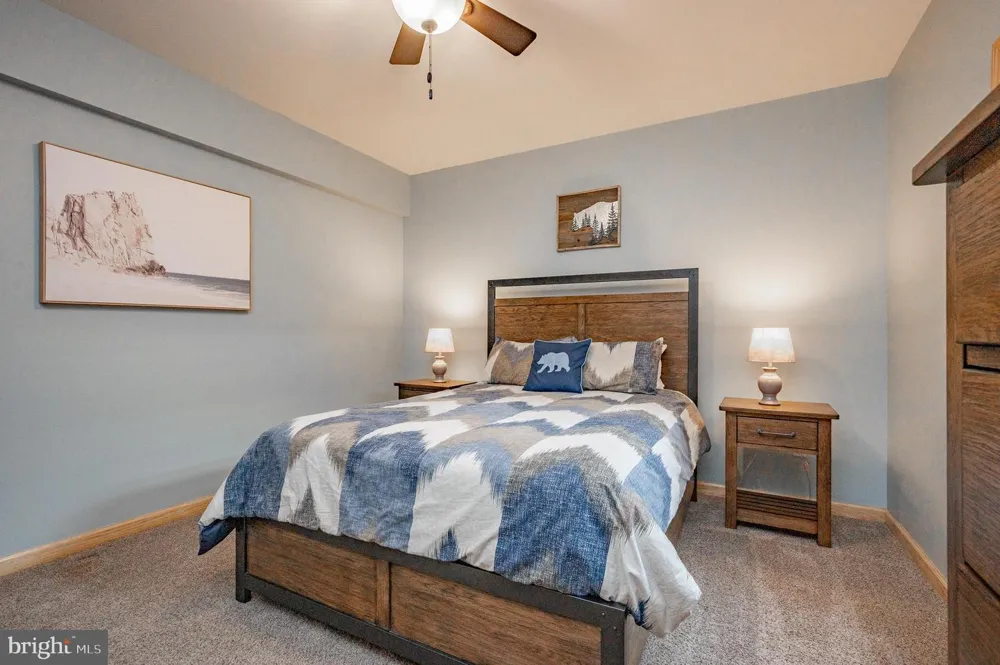 226 WISP ADVENTURE ROAD Mc Henry, MD 21541