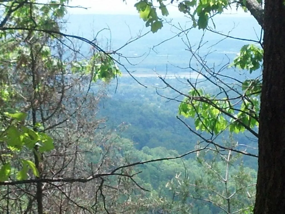 Sequatchie Mountain Road Sequatchie, TN 37374