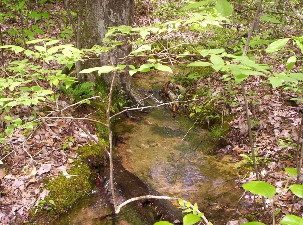 Sequatchie Mountain Road Sequatchie, TN 37374