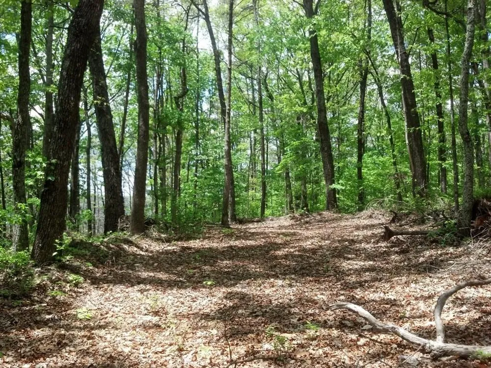 Sequatchie Mountain Road Sequatchie, TN 37374