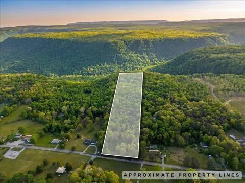Sequatchie Mountain Road