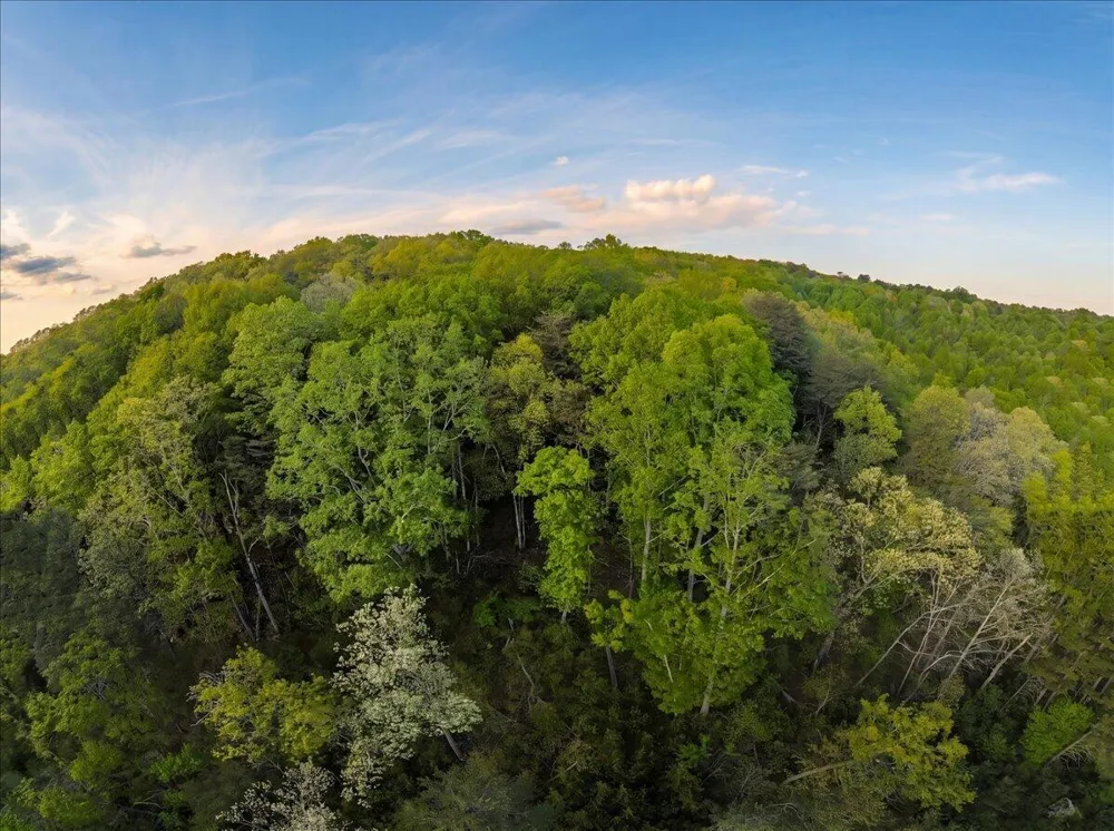 Sequatchie Mountain Road Sequatchie, TN 37374