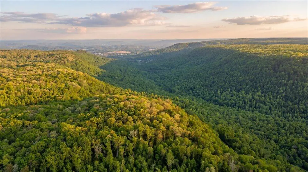 Sequatchie Mountain Road Sequatchie, TN 37374