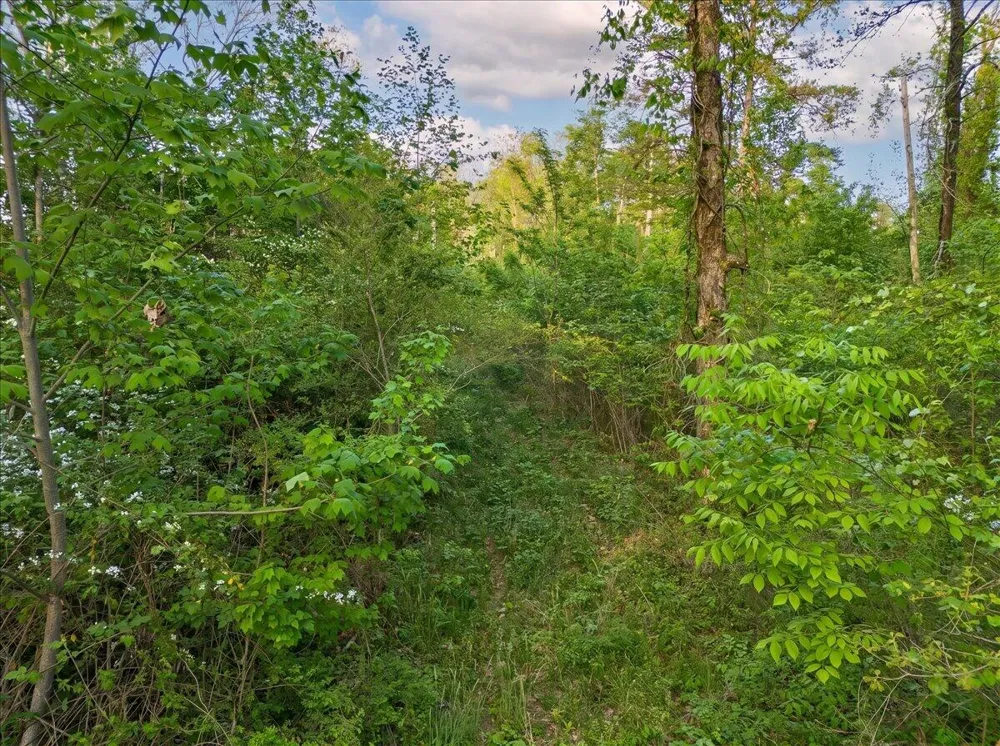 Sequatchie Mountain Road Sequatchie, TN 37374