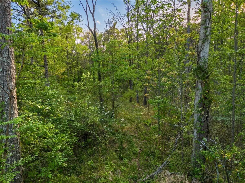 Sequatchie Mountain Road Sequatchie, TN 37374