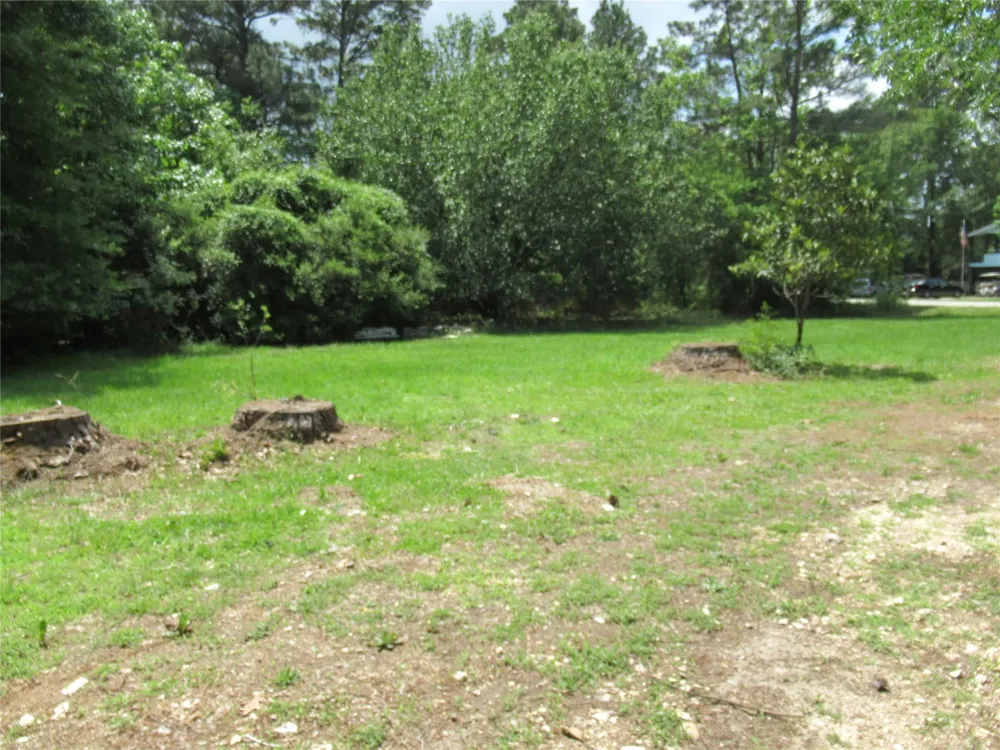 184 Hickory Drive Onalaska, TX 77360