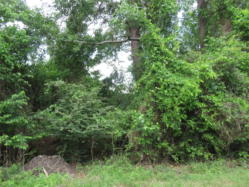184 Hickory Drive Onalaska, TX 77360