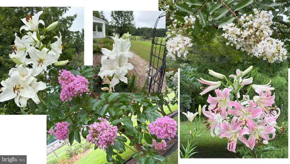 8612 SANDY BEACH LANE King George, VA 22485