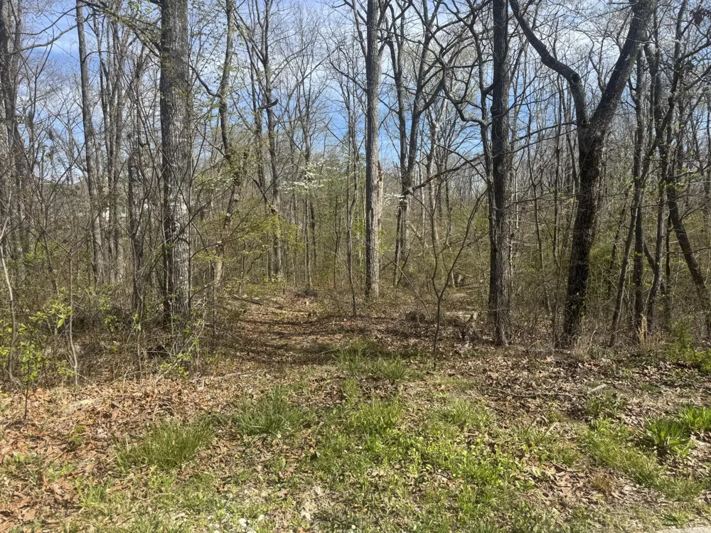 2401 Anchor Trail Signal Mountain, TN 37377