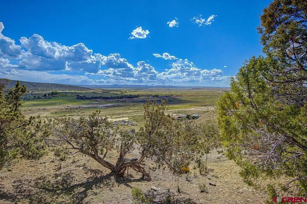 40161 Cottonwood Creek Road Crawford, CO 81415