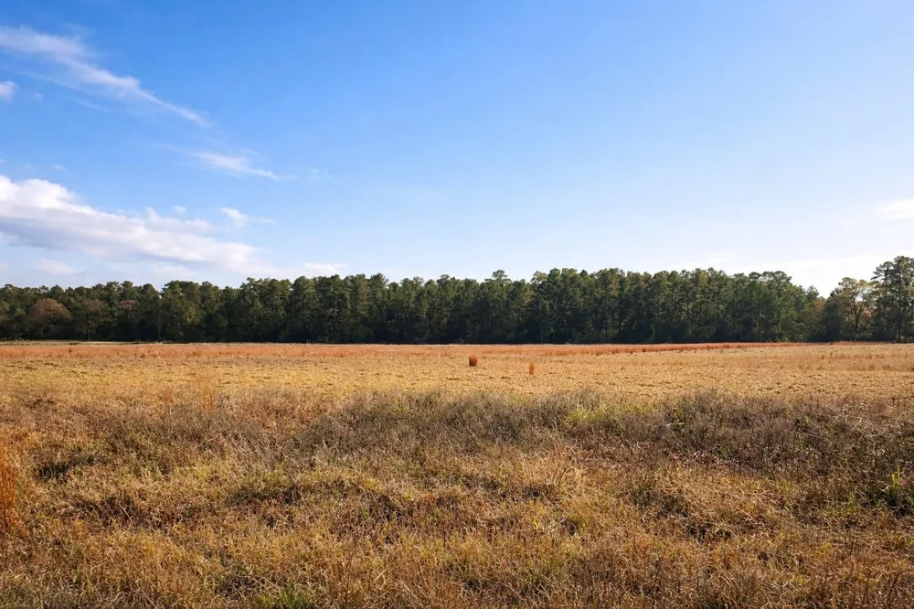 Clearlake Lane Crockett, TX 75835