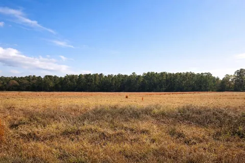 Clearlake Lane