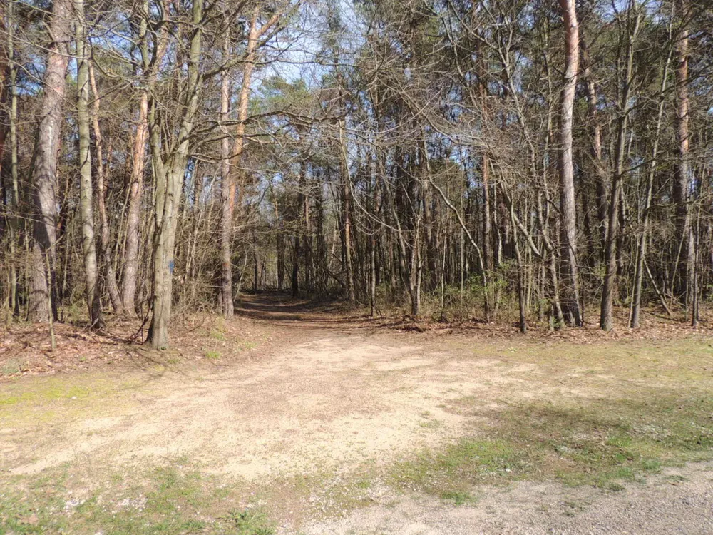 6342 Old Allegan Road Saugatuck, MI 49453