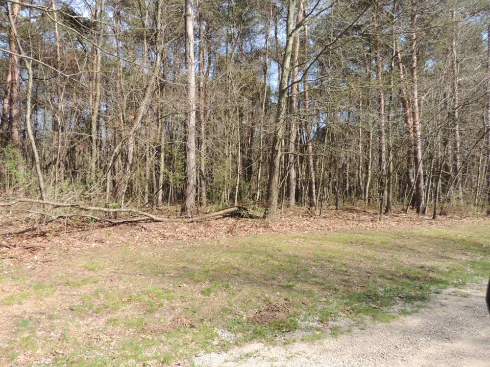 6342 Old Allegan Road Saugatuck, MI 49453