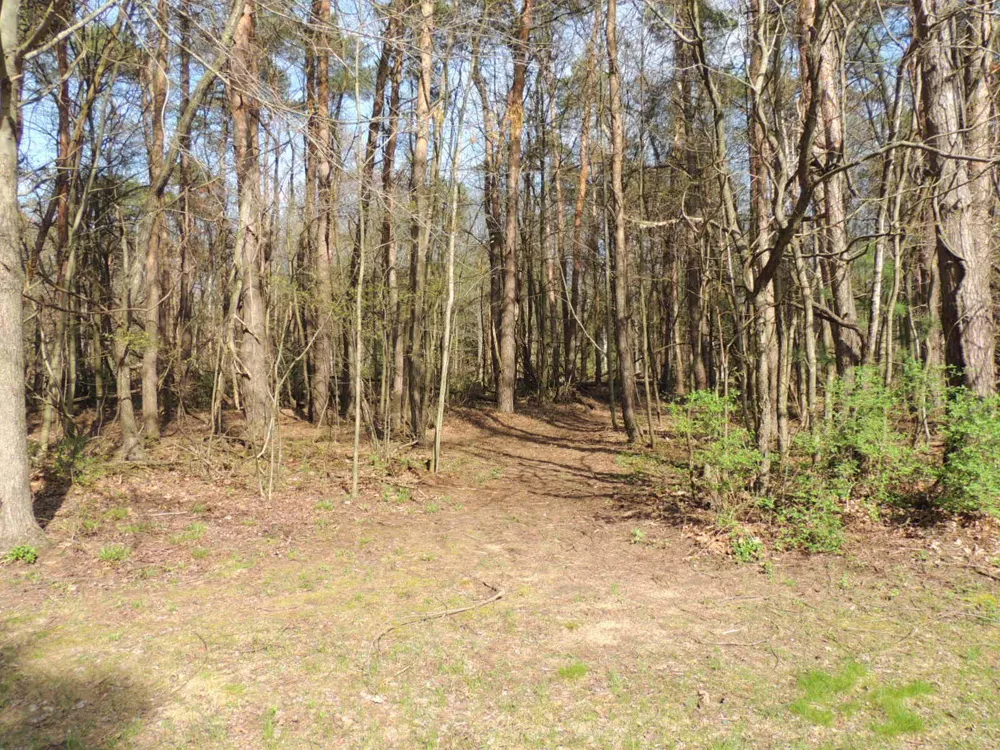 6342 Old Allegan Road Saugatuck, MI 49453