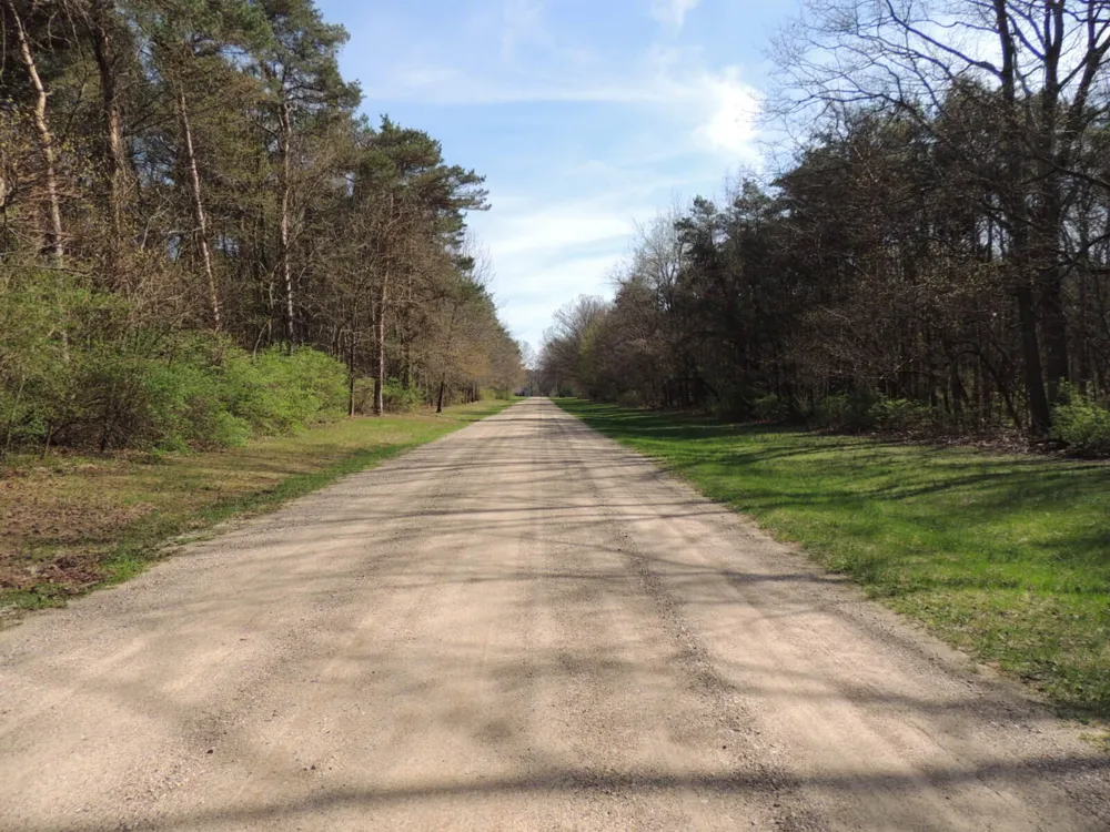 6342 Old Allegan Road Saugatuck, MI 49453