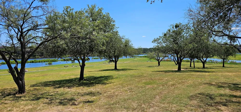 6438 Shaw Drive Marble Falls, TX 78654
