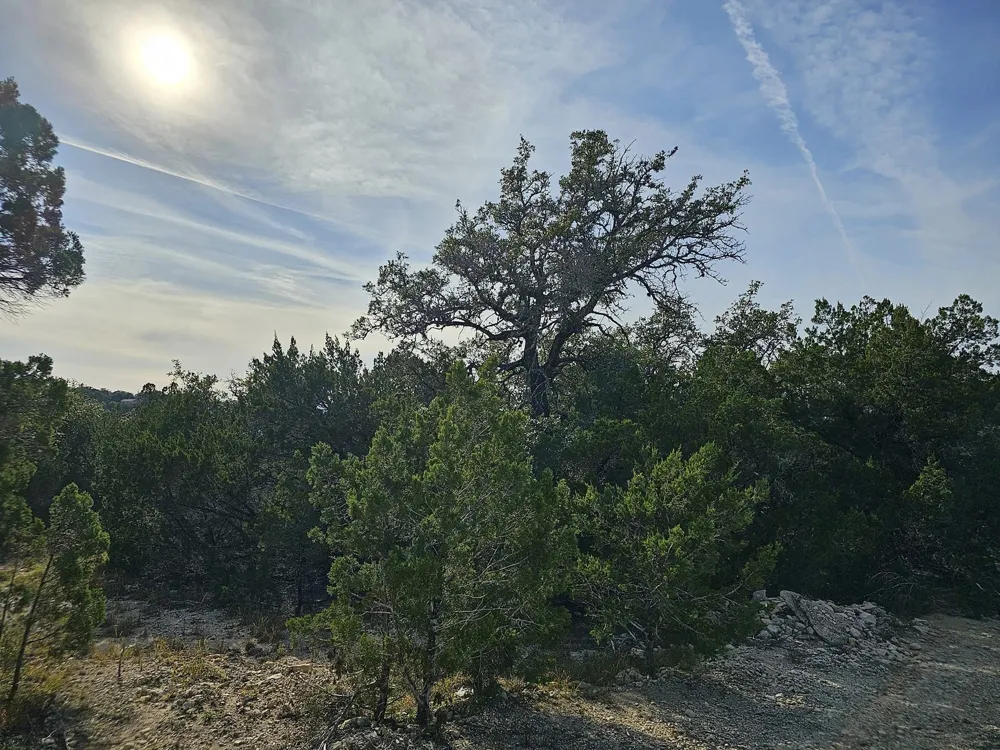 6438 Shaw Drive Marble Falls, TX 78654