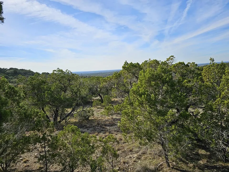 6438 Shaw Drive Marble Falls, TX 78654