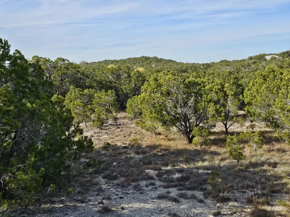 6438 Shaw Drive Marble Falls, TX 78654