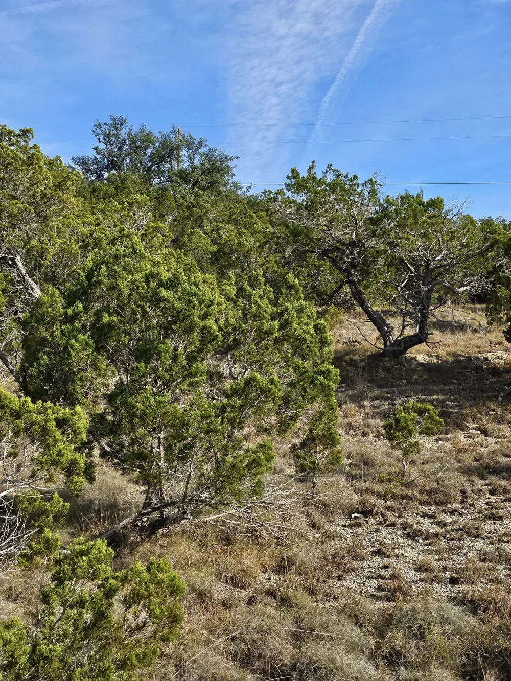 6438 Shaw Drive Marble Falls, TX 78654