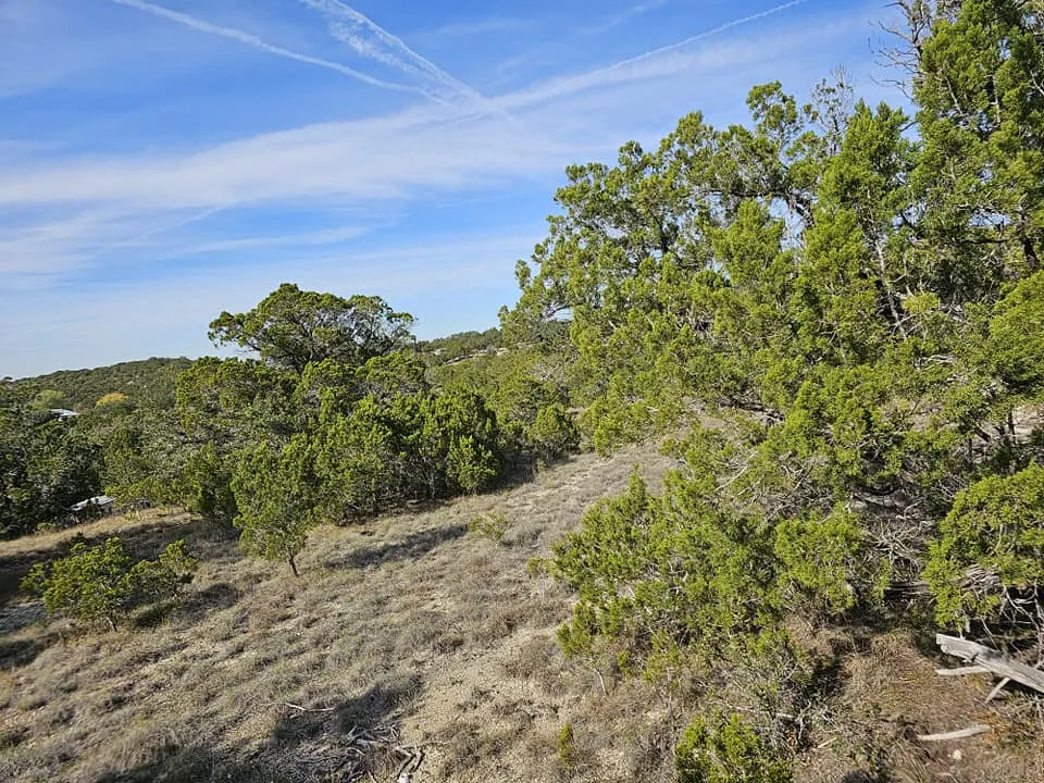 6438 Shaw Drive Marble Falls, TX 78654