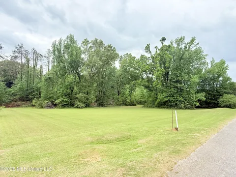 Whitney Drive