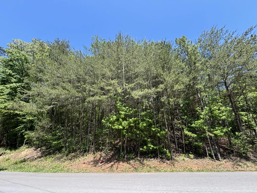 670 Lake View Drive New Hope, TN 37380